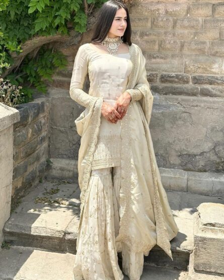 Pure Chinnon Silk Embroidered Sequence Work Top-Bottom and Dupatta Set (Fully Stitched)